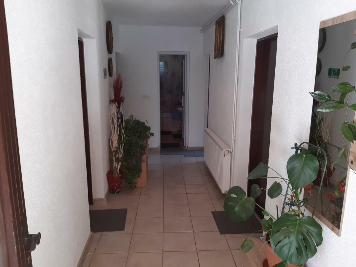 Rooms Luka Selište Drežničko Exterior foto