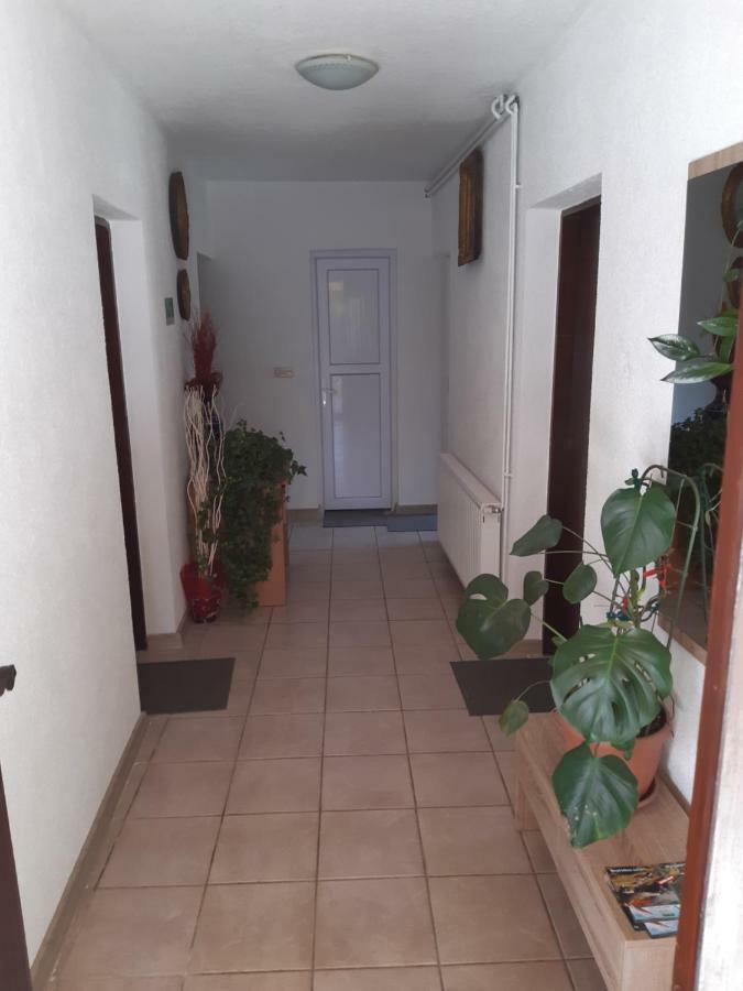 Rooms Luka Selište Drežničko Exterior foto